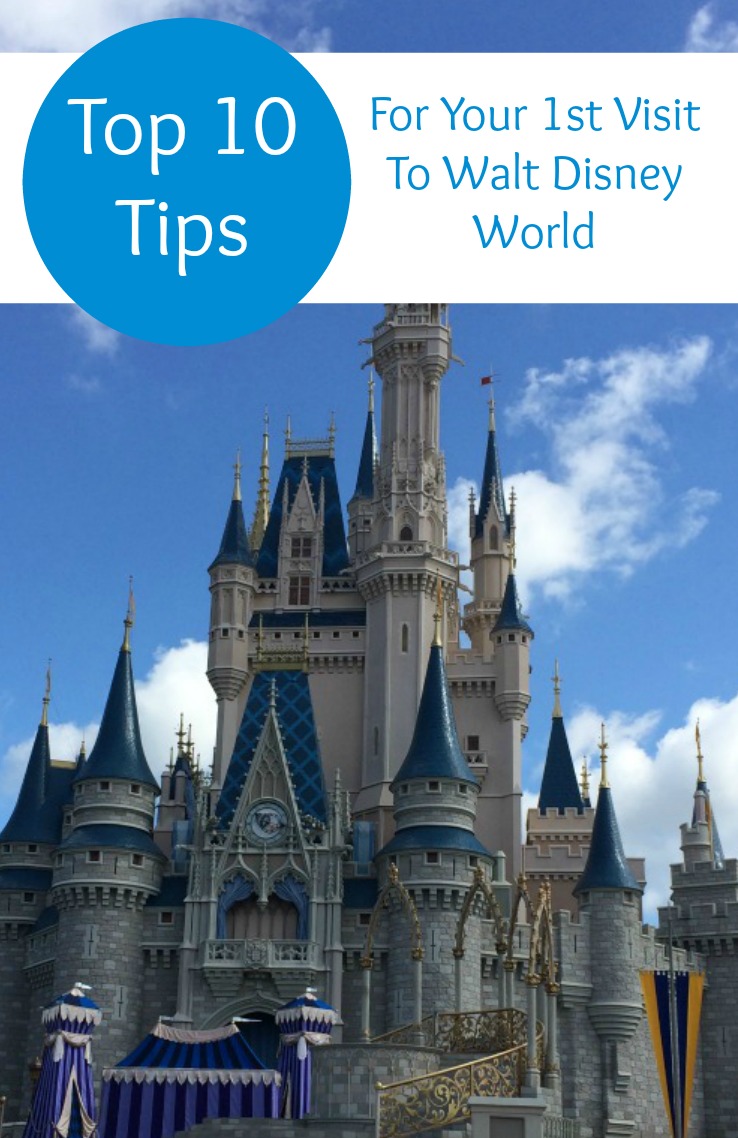 Top 10 Walt Disney World Tips For Your First Visit The Life Of Spicers