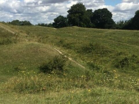 Best Places For Dog Walking In Dorset - The Life Of Spicers