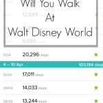 how far will you walk at Disney World