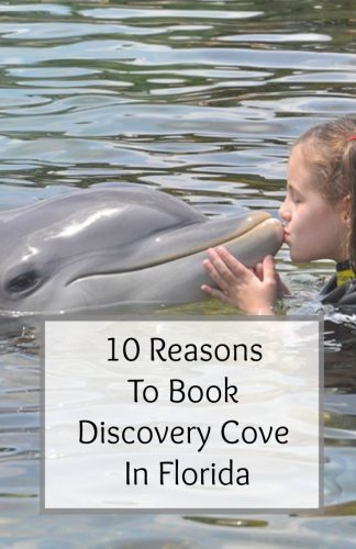 reasons to book discovery cove