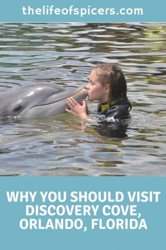 discovery cove orlando