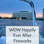 Happily Ever After Fireworks Cruise
