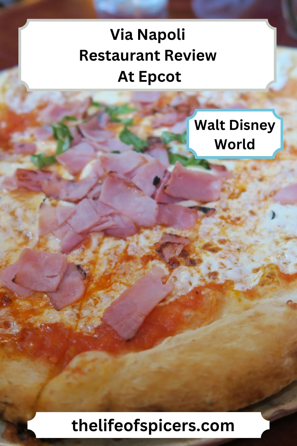 via napoli restaurant review