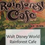 Rainforest Cafe Animal Kingdom
