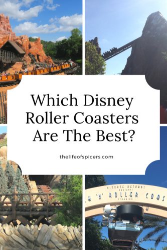 which is the best Walt Disney World roller coaster?