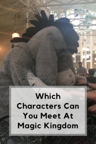 magic kingdom characters