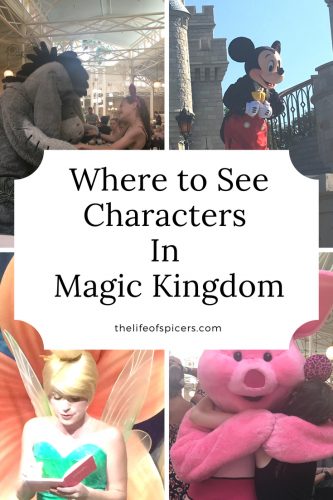 magic kingdom characters