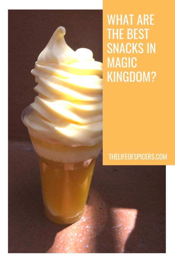 best magic kingdom snacks