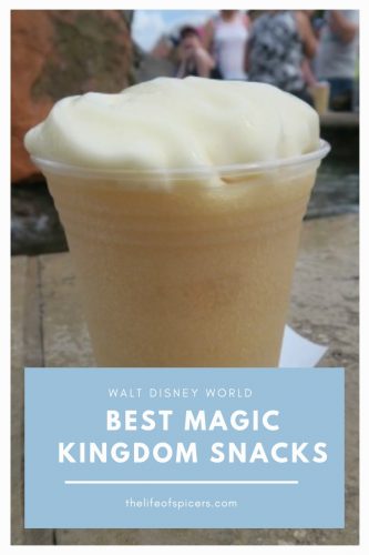 best magic kingdom snacks