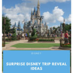 surprise disney trip reveal ideas
