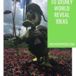 surprise we're going to disney world ideas