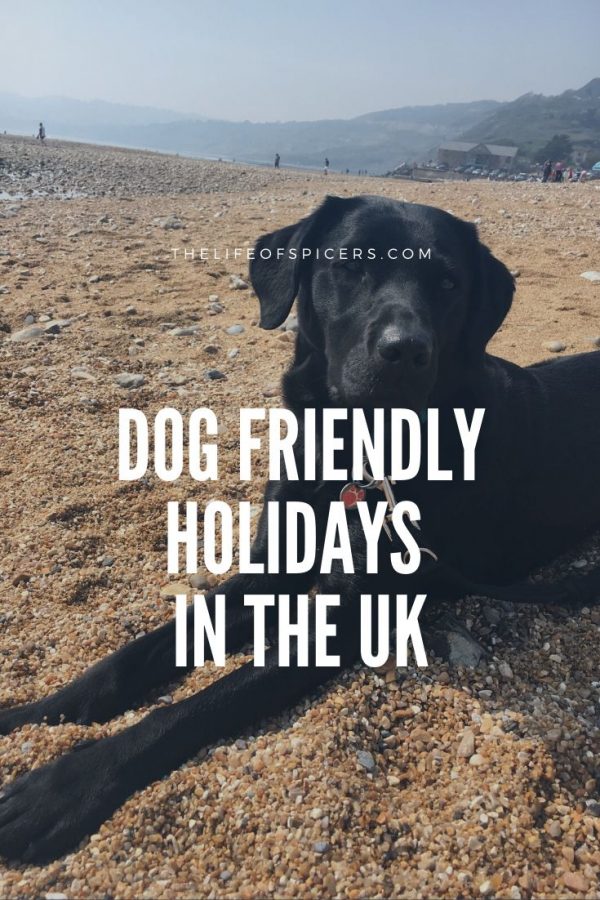 dog friendly holidays in the UK
