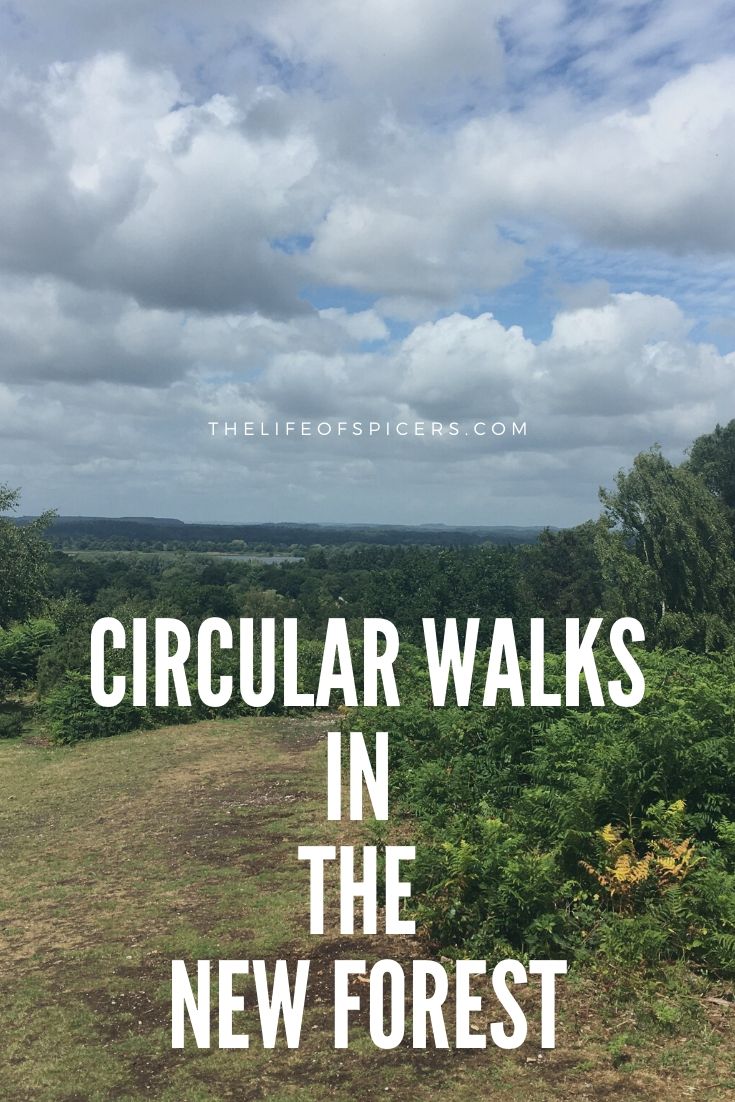 circular walks in the new forest
