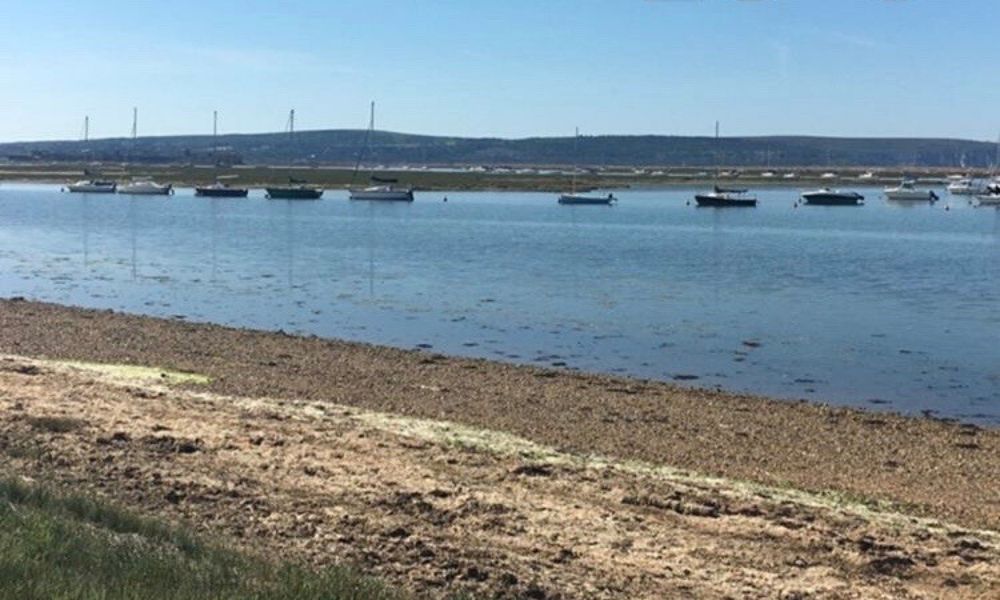 key haven marshes