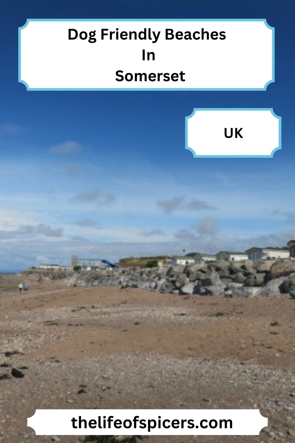 dog friendly beaches in somerset