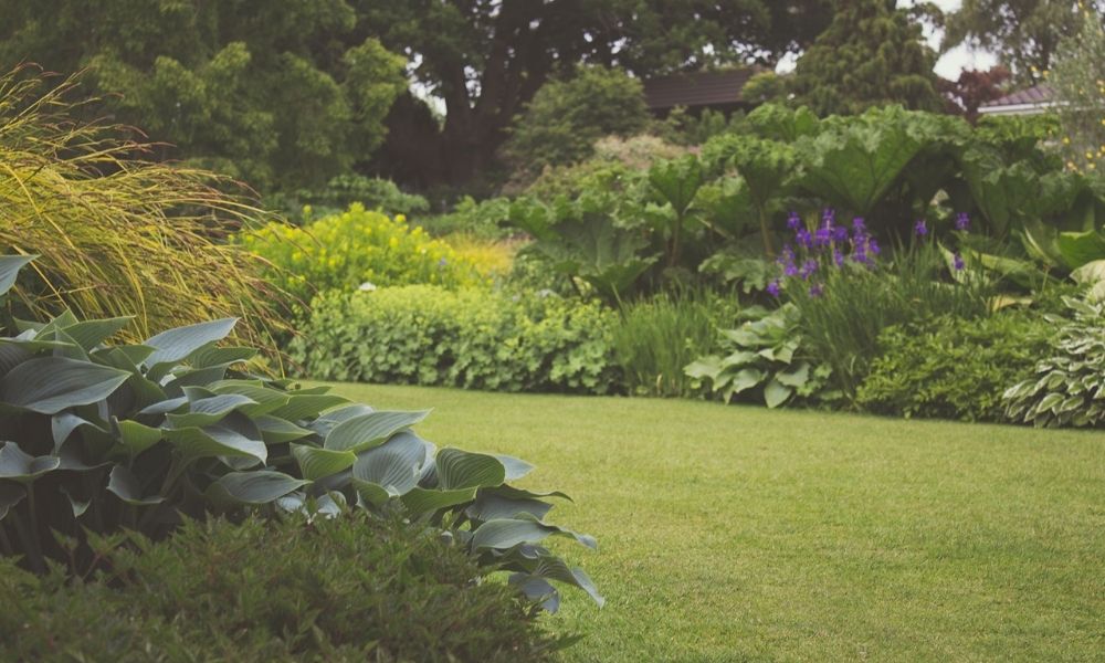 gardens