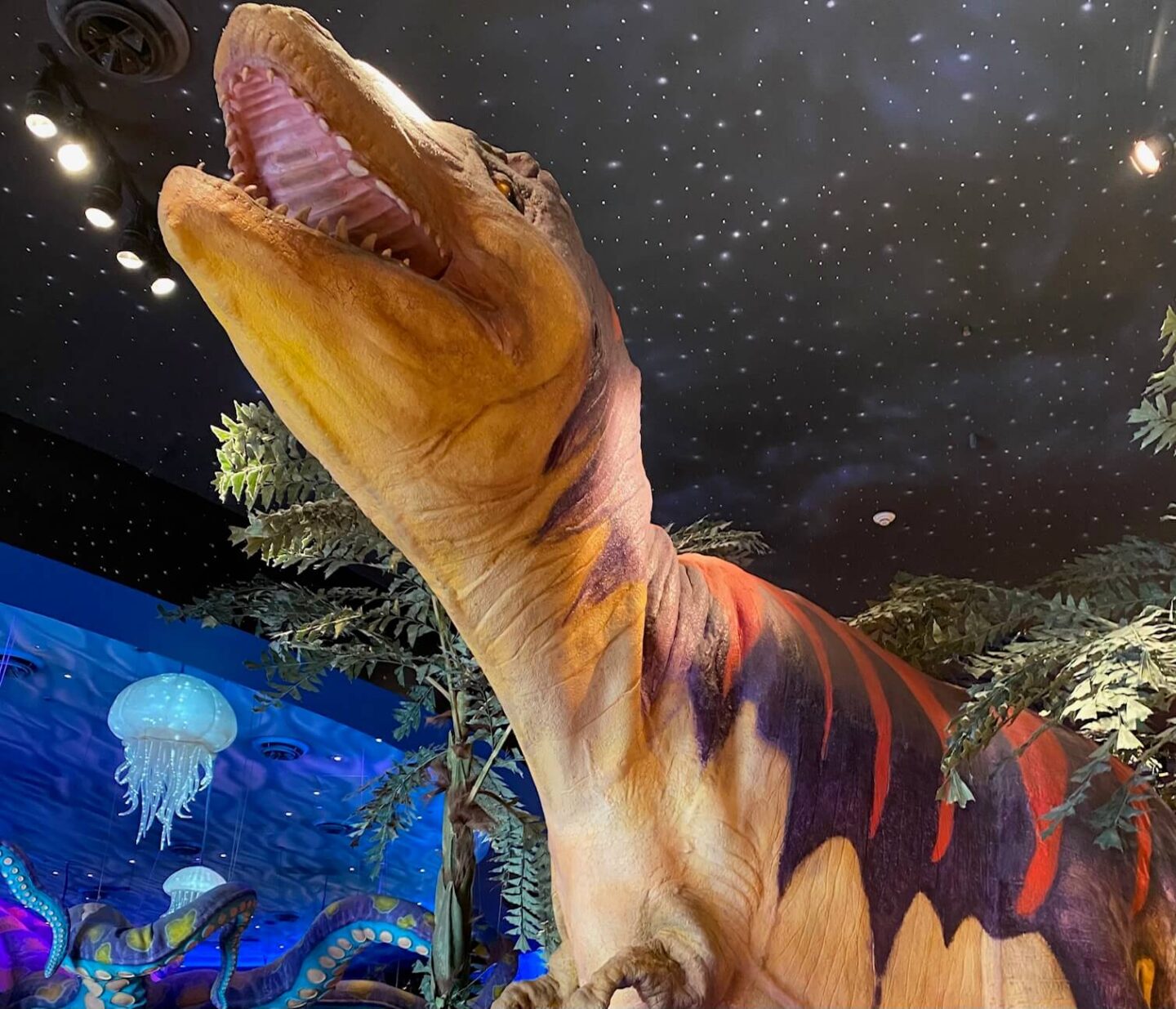 t-rex cafe disney springs