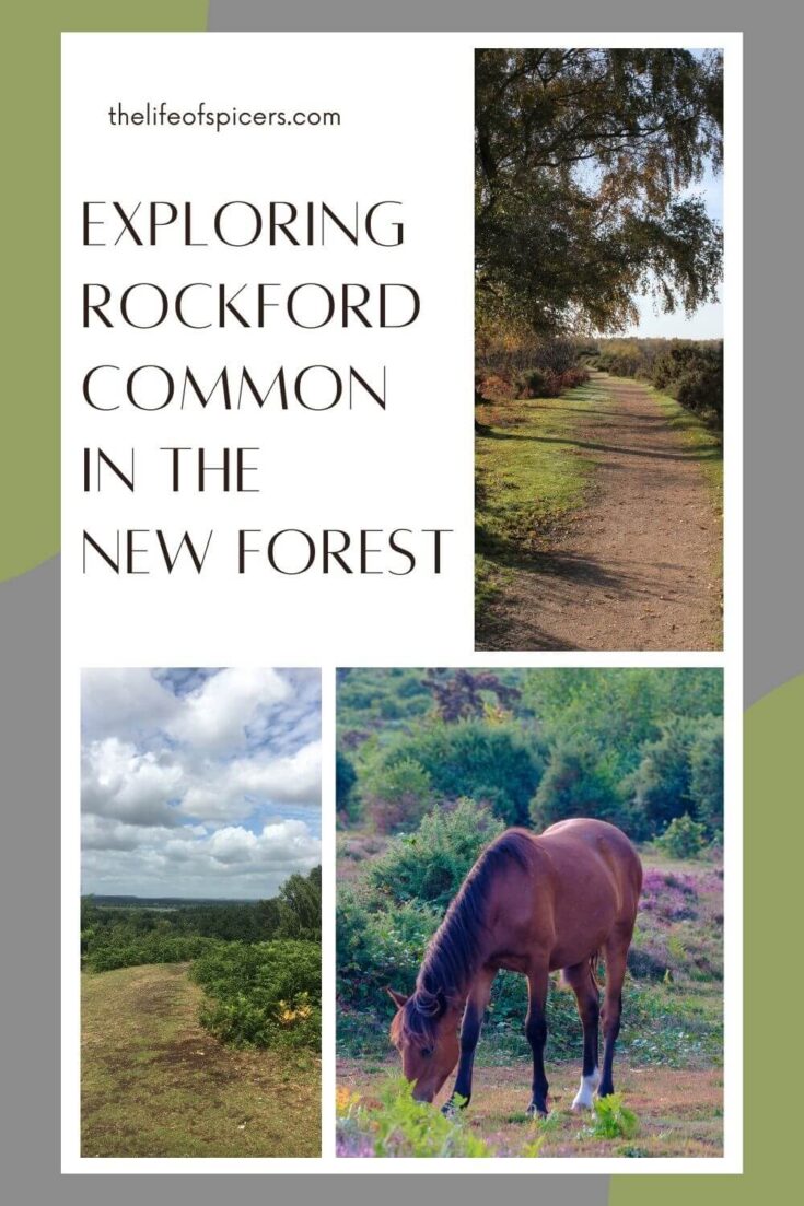 exploring Rockford Common