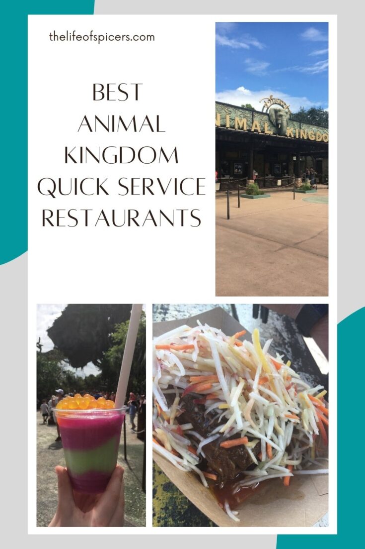 Animal Kingdom quick service