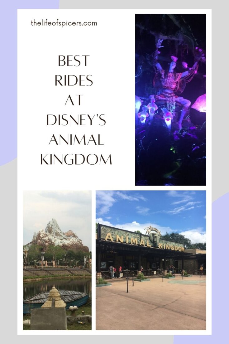 best rides at Animal Kingdom