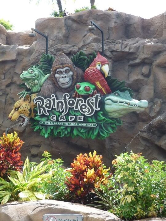 Rainforest Cafe animal Kingdom