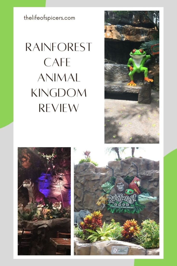 rainforest cafe animal kingdom