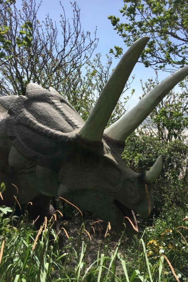 dinosaur