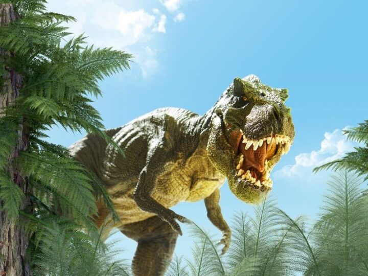 dinosaur