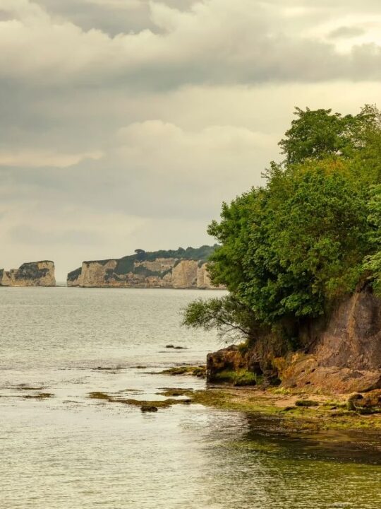 studland bay