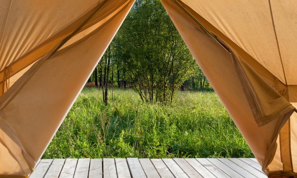 view out of a safari tent