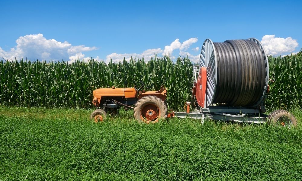 tractor near a maize field