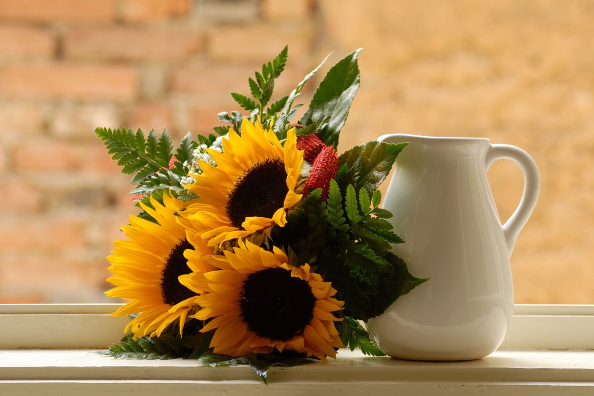 sunflowers next to a vase