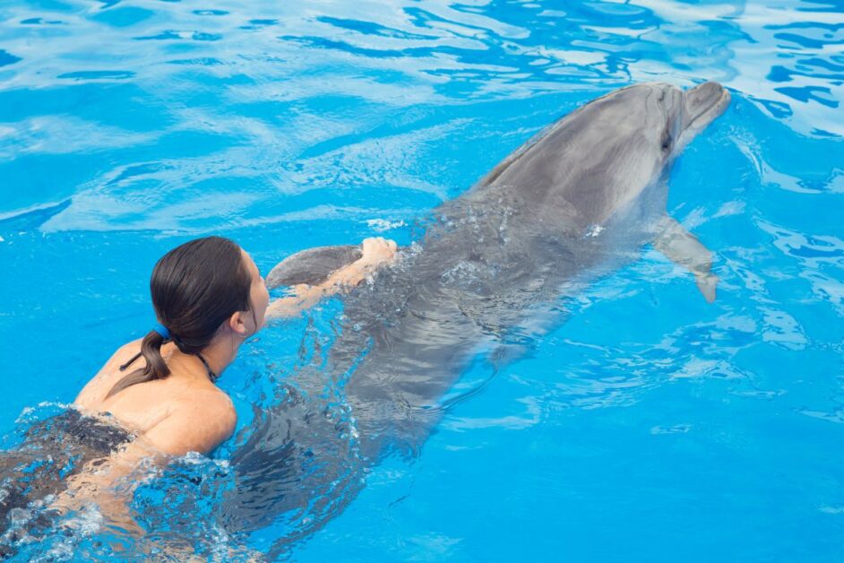 swimming with a dolphin