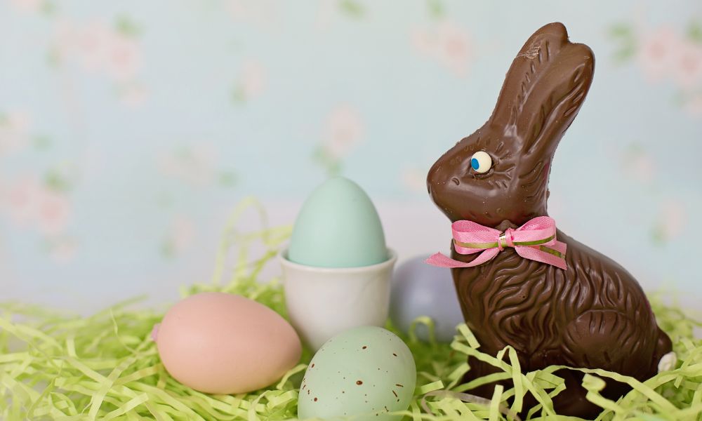 chocolate bunny