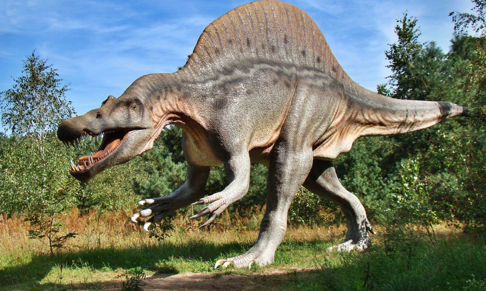 dinosaur on a path