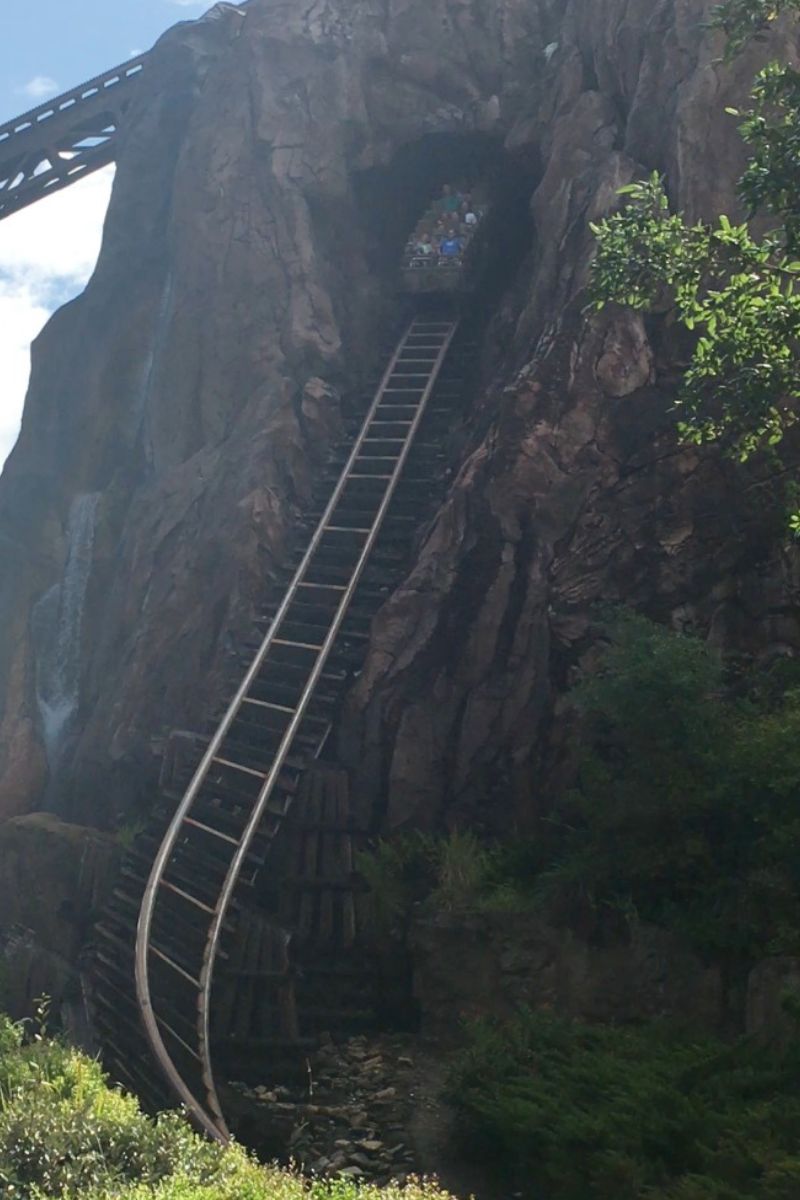 Expedition Everest final drop