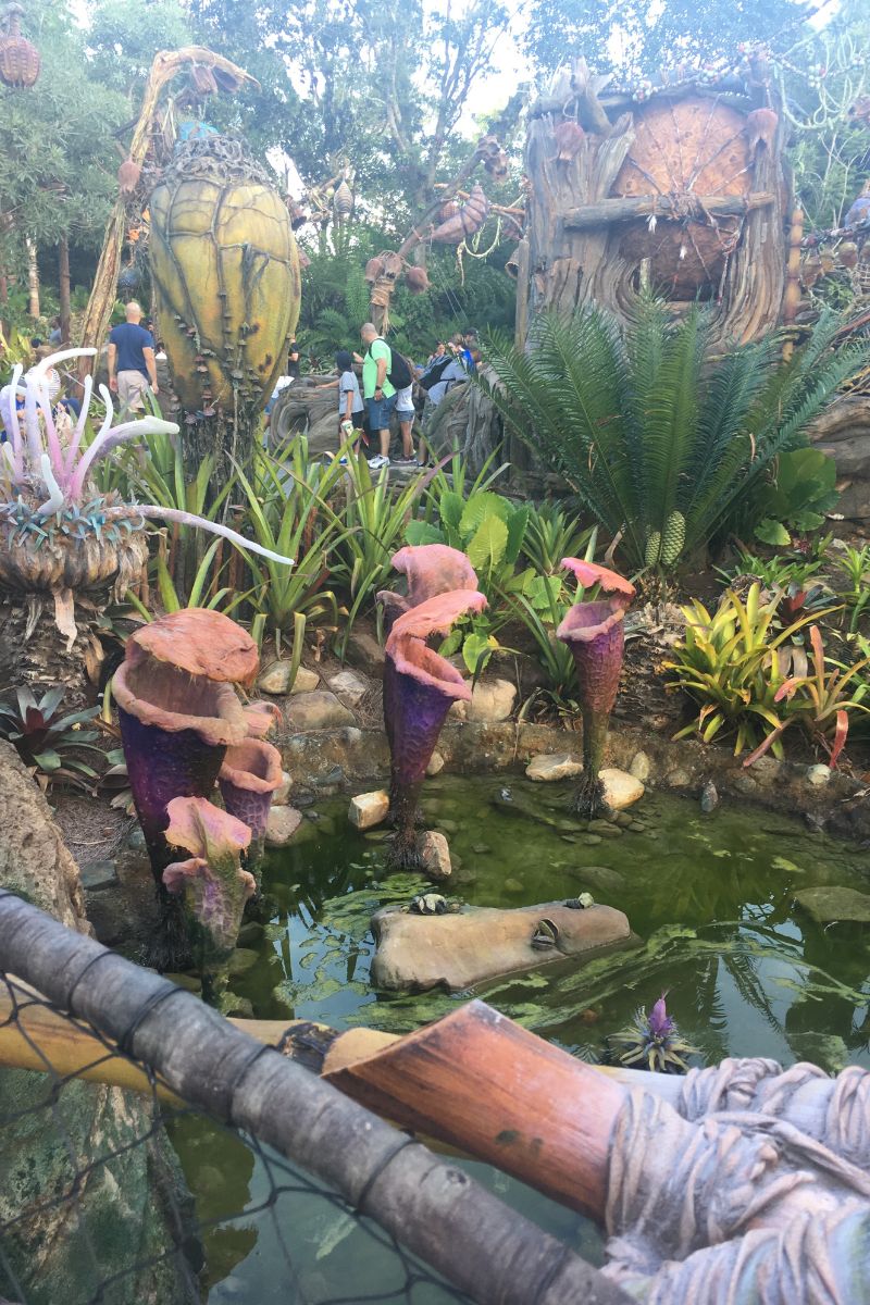 Pandora The World of Avatar in Disney's Animal Kingdom Theme Park