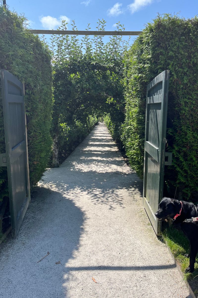 The Lost Gardens Of Heligan kitchen garden