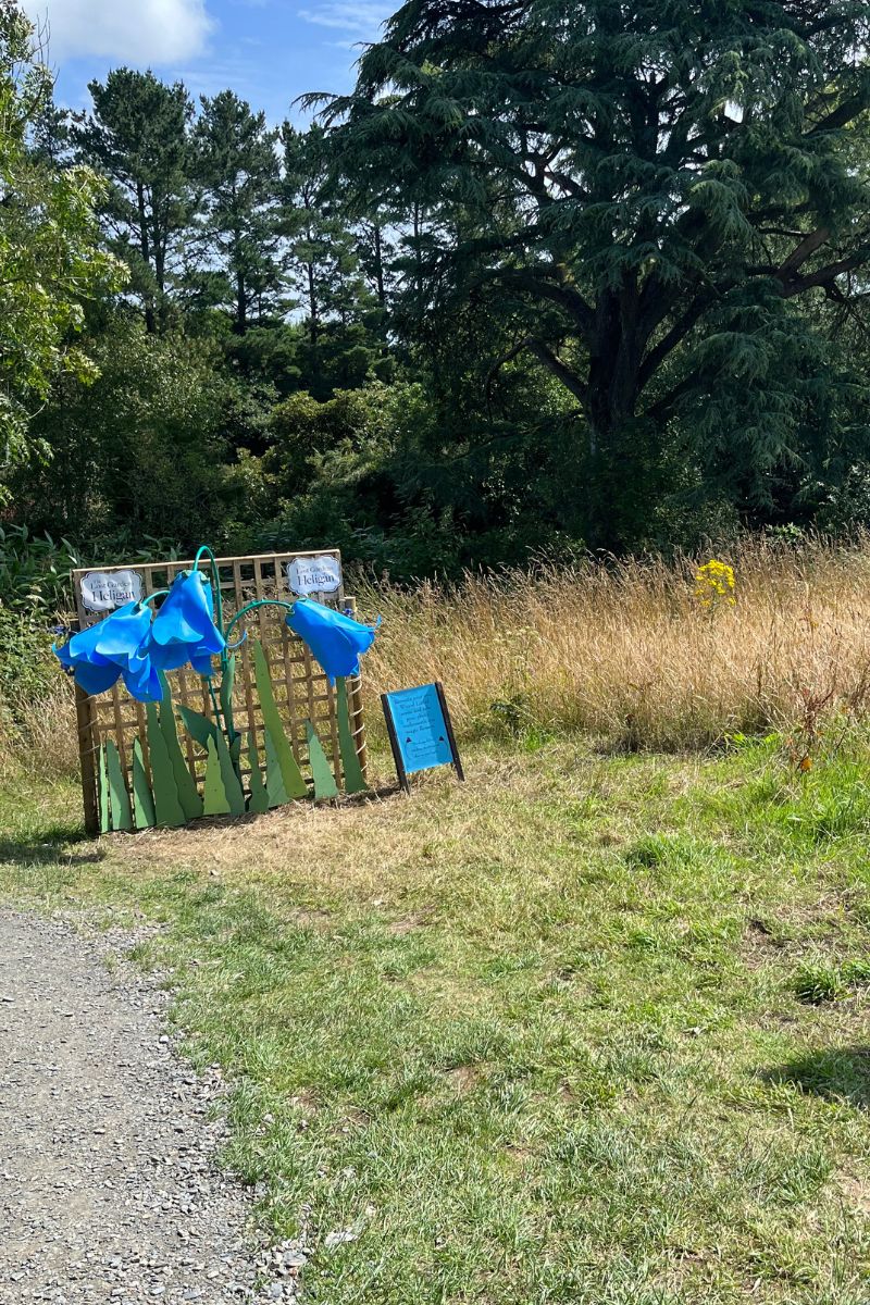 The Lost Gardens Of Heligan flower sculpture