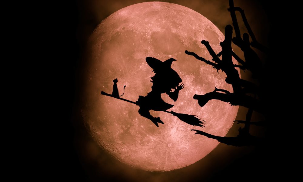 witch on a broomstick
