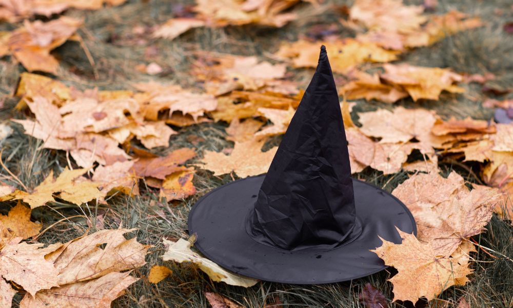witches hat in leaves