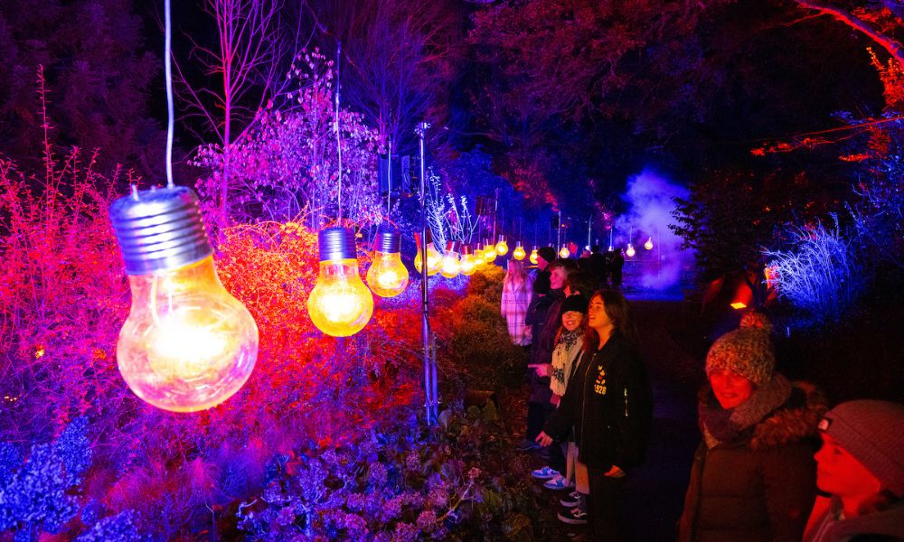 Sir Harold Hillier Gardens light trail