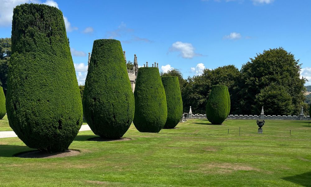 Lanhydrock National Trust  lawn
